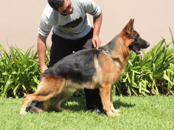 Don Juan von Ghattas