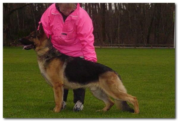 Fonseca's Collateral