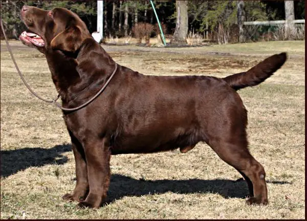 CH Chablais Chocolatier