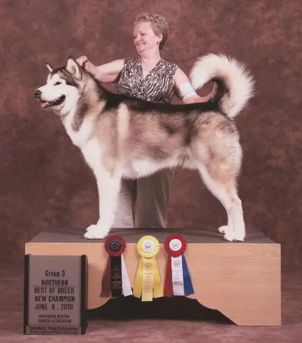 Powderhound's A Force Of Won