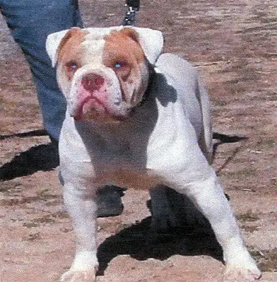 CRK's Tonka Truck PH-0.38/0.33