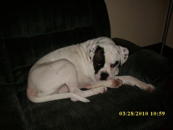 Gerty Gerty Gertrude