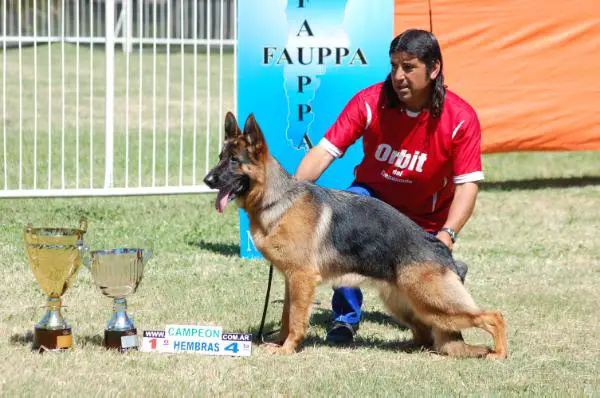 Argentina vom Baires Land