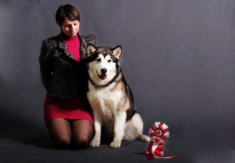 CH JRUS, RUS, RKF, KAZ, GRAND, СW Amelhuk  Lara Kroft