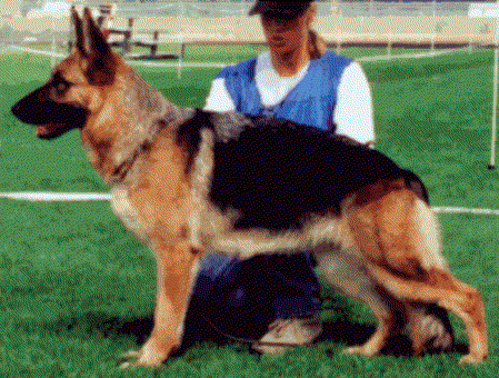 V Teiga von der Mäusespitz