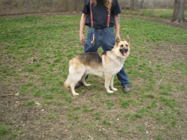 Maximilian Augustus Whyde