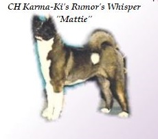 AKC CH Karma Ki's Rumor's Whitsper