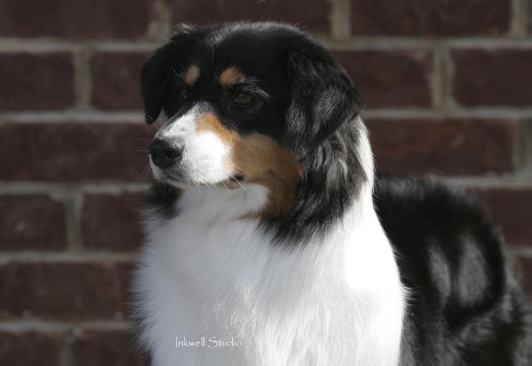 Milwin's Double Feature