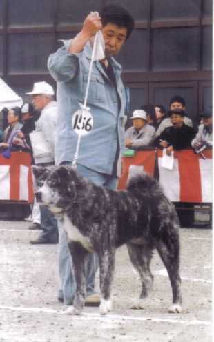 Ryouko Go Miyagi Kozaki Kensha