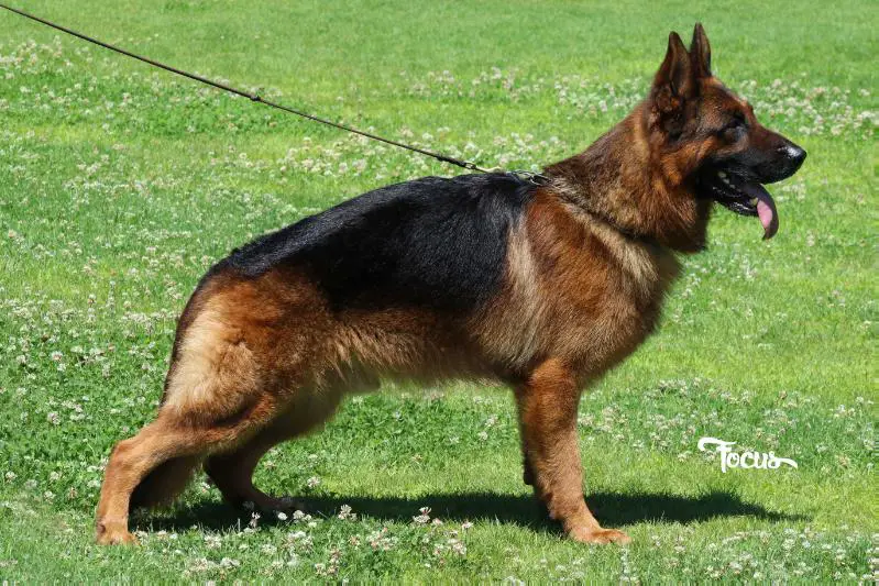 SG2 (E+B), V Holeck du val d'Anzin (2012)