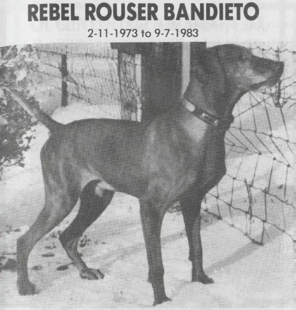 Rebel Rouser Bandieto