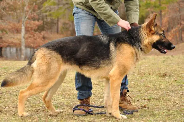 Lady Vom Haus Thomas