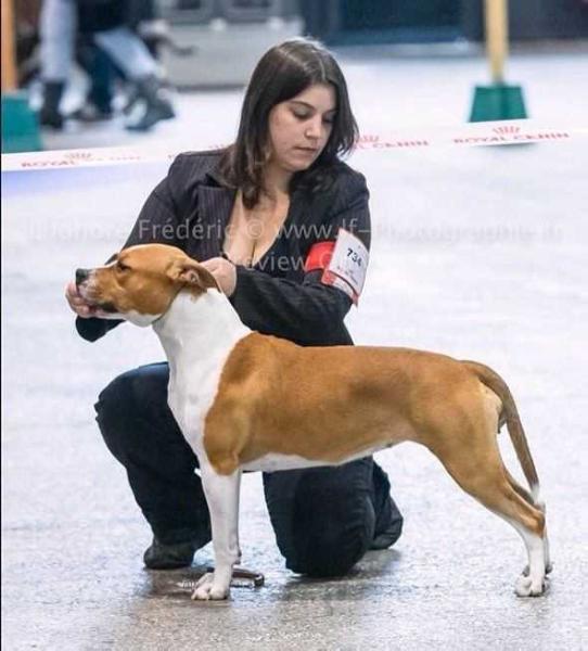 Monday Tipit Z Hanky