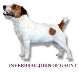 Invebrae John of Gaunt