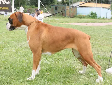 Xora vom Kaiserfelsen