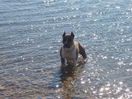 Jaffa juice best of london