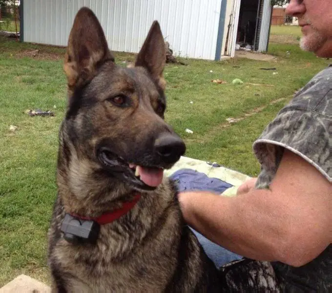 Der Schatten Des Teufels