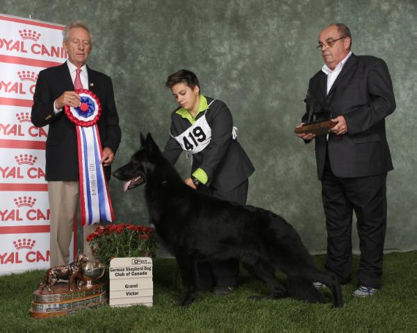 CAN GV CH/ AM GCH Billyjo's Man In Black