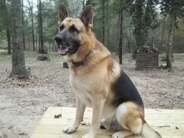 Cherokee Nation River