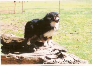 C Bar Little Bits Of Texas Of Rafter Bottle