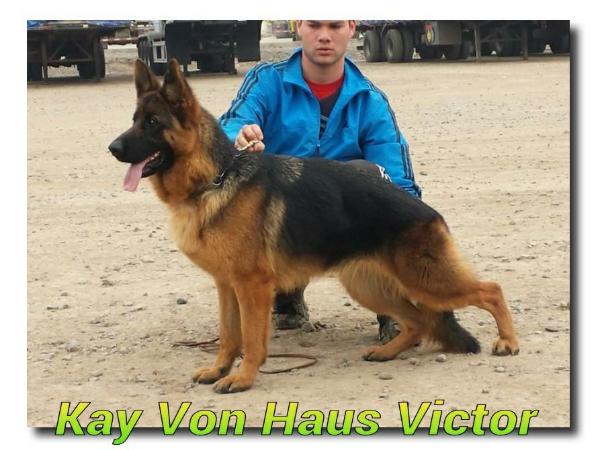 Kai Von Haus victor