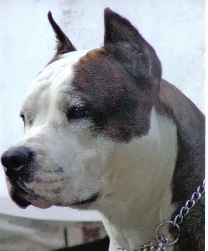 HEROS z Wiślanego Portu