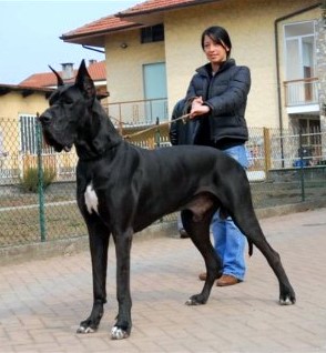 Athos-N del Nord Ovest