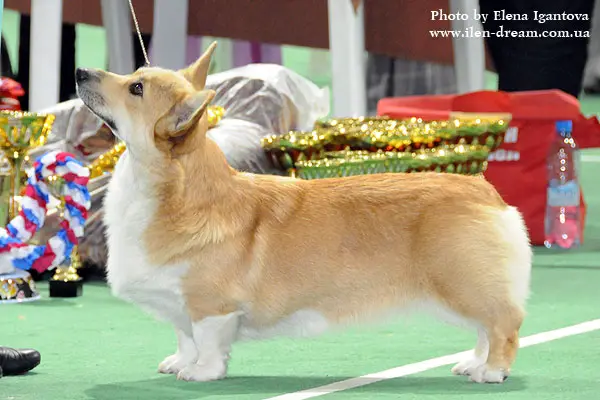 Laif Spring Citadel of Victory