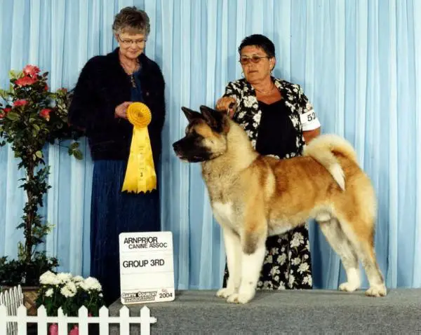 CAN CH Noblerise To The Max At Shamar