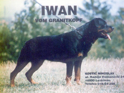 CH-YU Iwan vom Granitkopf