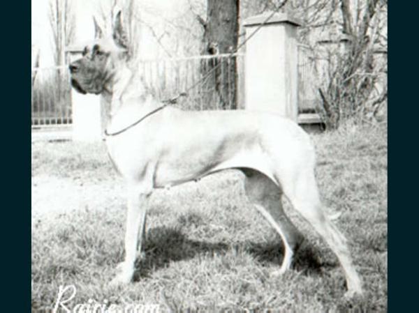 Olympia Odyla Pacifik