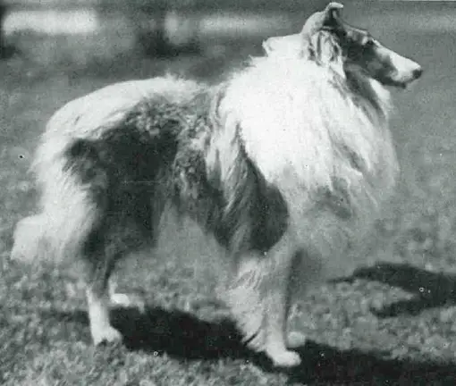 El Troubadour of Arken