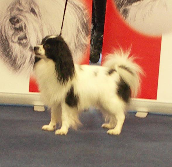 MULTICH Ian vom Maindreieck