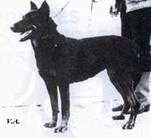 Utah des Hautes Ruelles