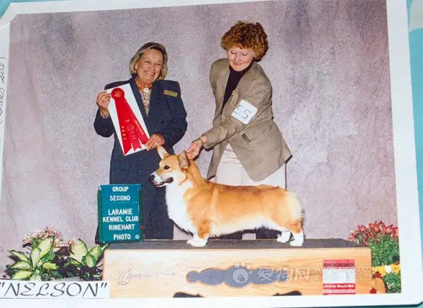 CH BJ Bit's Curtain Call