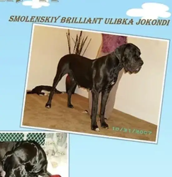 Smolensky Brilliant Ulybka Jocondy