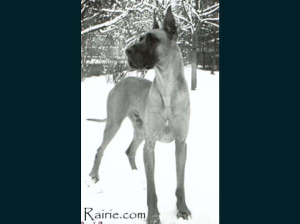 CH Orlow Von Der Stadt Hamburg (1965)