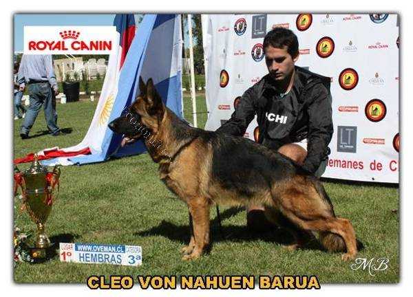 VA-6 Sieger ARG Cleo von Nahuen Barúa