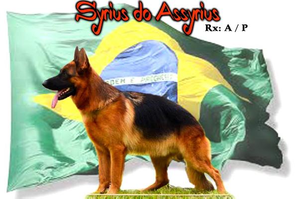 Syrius do Assyrius