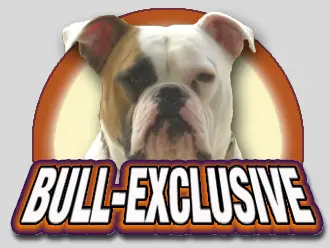 bull-exclusive's i