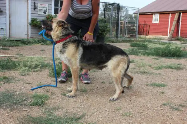 Ivana Vom Frankenthal