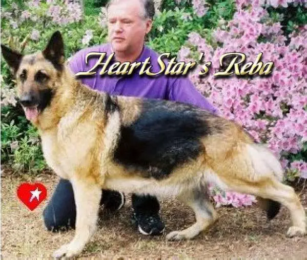 HeartStar's Reba