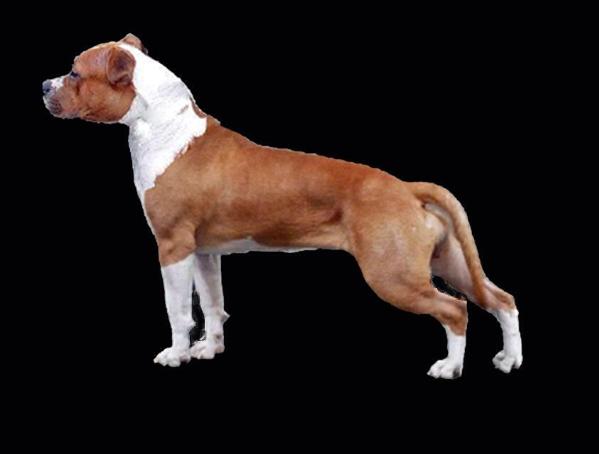 Hot kiss de l'amour inconditionnel