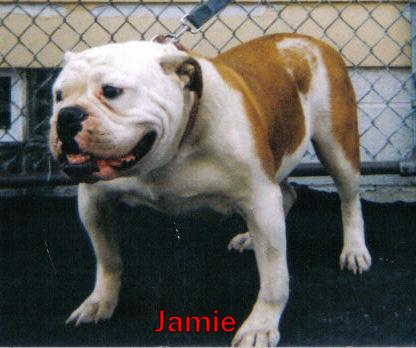 Davis Jamie.