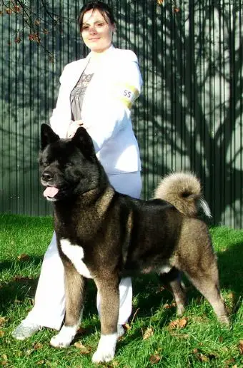 UK CH Calicelesti Slaymaker