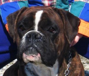 Faa Schiwa's Imperium