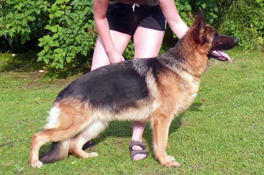 V Pearl of Caribic Slezin Lovan