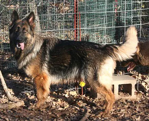 Loujuan Precision Planning