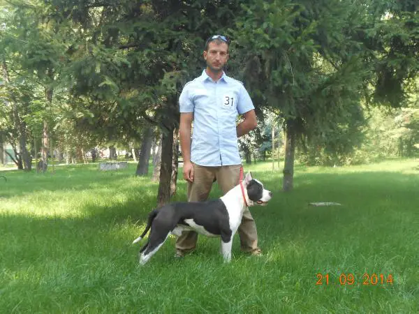Balkan Winner, GR CH,CH BG Beyond The Limit Baster