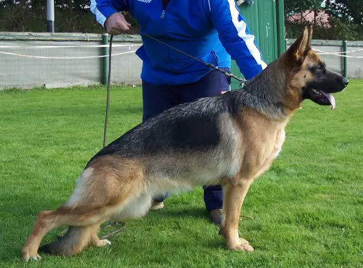 V Quanni vom Gilkauertal